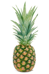 Fototapeta premium pineapple