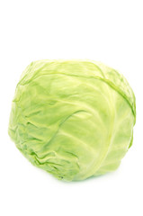 Fototapeta premium Cabbage