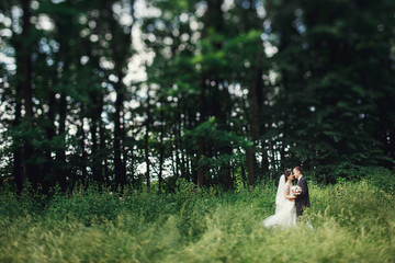 Happy cute newlywed couple hug & kiss in park outdoors