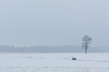 Tractor in the showy field. North Europe.