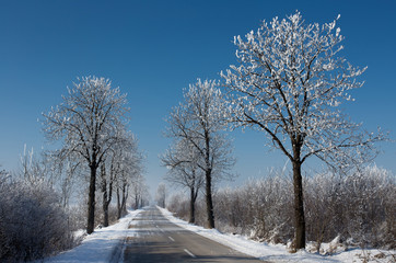 Obraz premium Road on cold winter snowy day