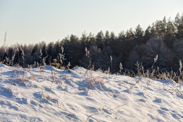 Snowy field in sunny winter morning.