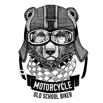 Wild BEAR for motorcycle, biker t-shirt