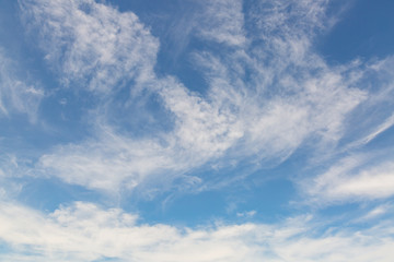 Blue sky and clouds from the ground.