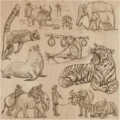 Obraz premium animals - an hand drawn vector pack, collection.