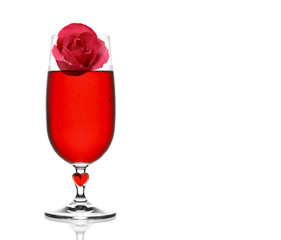 float fresh beautiful red rose and aroma with drop of water for