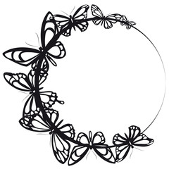 black butterfly, on a white