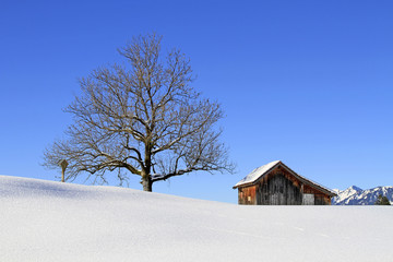 Allg&auml;u - Heustadel - Alpe - Baum - Winter - Kreuz - Berge
