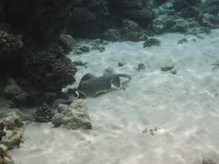Hurghada