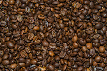 Roasted coffee beans