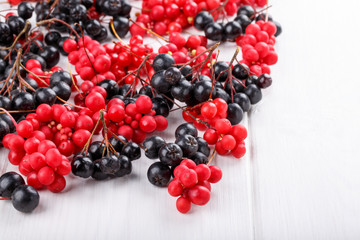 Schisandra chinensis or five-flavor berry. Aronia or chokeberry.