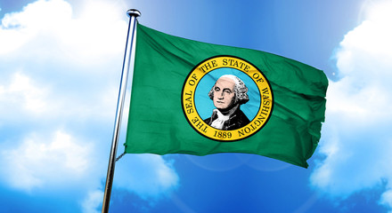 washington flag, 3D rendering, on a cloud background