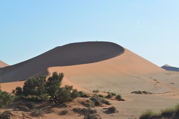 Fototapeta na wymiar Düne Namibia