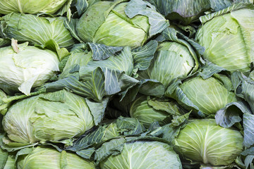 Fototapeta na wymiar Heads of cabbage a large background in the market