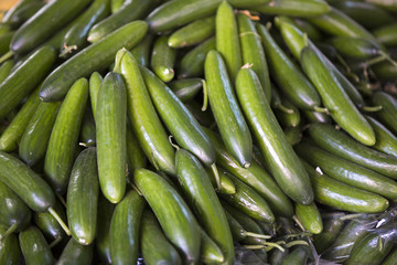 Background of green cucumbers at the market