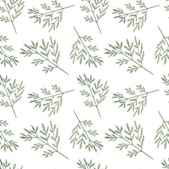 Watercolor seamless doodle  floral pattern with carrot leaves on white background. 