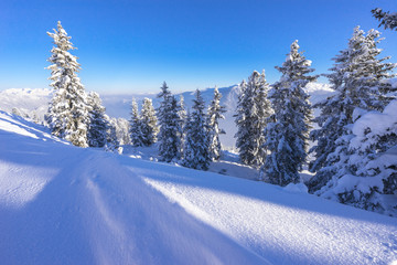 Freeride durch das Hochzillertal