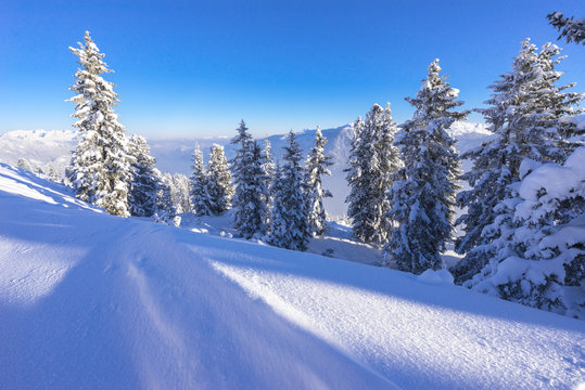 Freeride durch das Hochzillertal