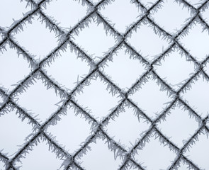 Metal mesh cells are covered with white fluffy hoarfrost