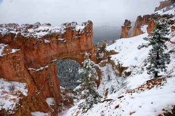 Bryce canyon in the winter - 7