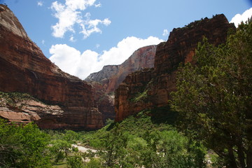 Fototapeta na wymiar Zion canyon - 5