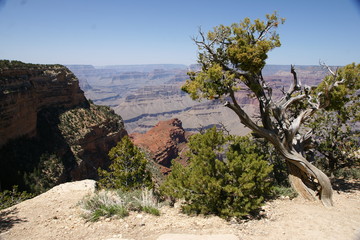 Grand Canyon - 31