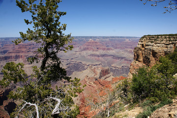 Grand Canyon - 30