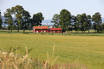 Obraz premium Wooden house in the countryside on nature