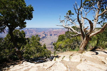 Grand Canyon - 15