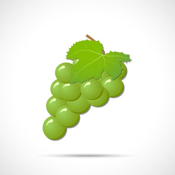 White grapes with leaf isolated on white background. Fruit icon. 