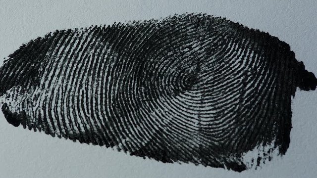 fingerprint on white paper