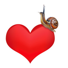 Snail on heart