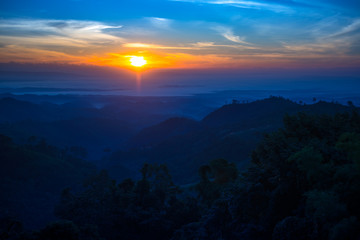 morning view of tropical forest