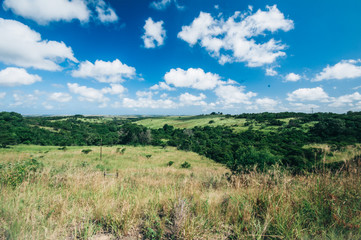 Typical landscpae of Transkei region in Eastern CApe, South Africa