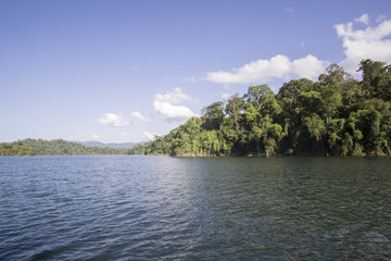 Fototapeta na wymiar View of man-made lake of Royal Belum with nice green scenery and stumped wood.