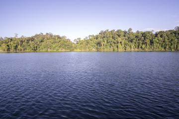 View of man-made lake of Royal Belum with nice green scenery and stumped wood.