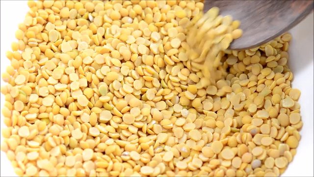 Pigeon pea yellow pulse scooped with wooden spoon.
