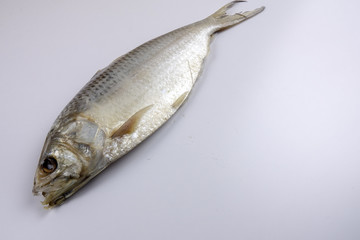 Raw salted fish isolated on white
