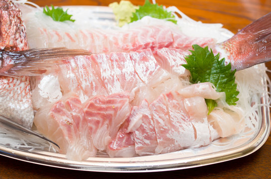 4 597 件の最適な 鯛刺身 画像 ストック写真 ベクター Adobe Stock