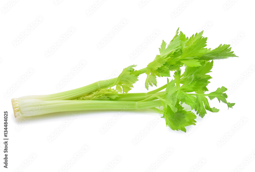 Poster celery isolated on white background