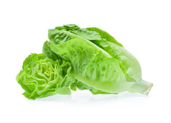 fresh baby cos (lettuce) on white background