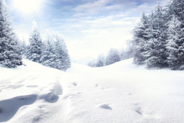 Fototapeta na wymiar winter road and snow with frost 