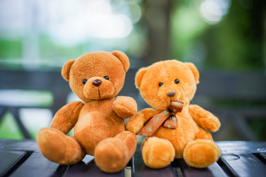 two bear dolls on the table in the nature