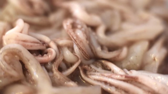 Closeup of raw fresh squid seafood in a dish, preparation, for cooking, mixing with fork