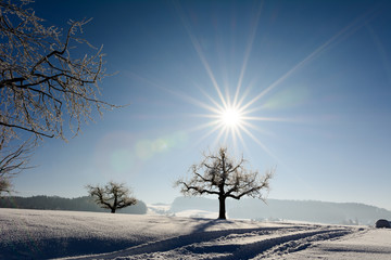 Winterpanorame verschneite Winterlandschaft mit Sonne