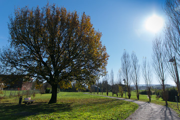 Parco pubblico in autunno
