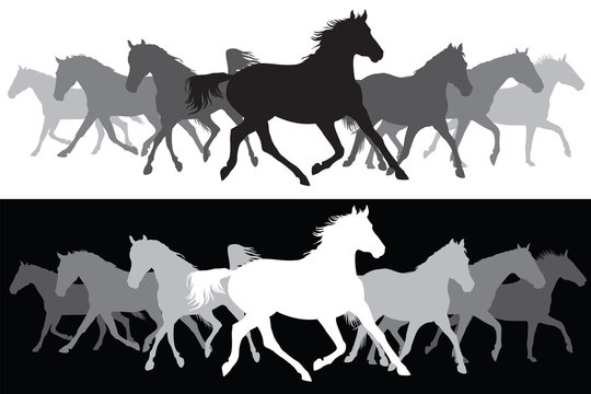White and black Trotting horses silhouette background