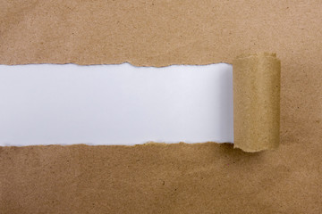 Torn papers with business conceptual text.