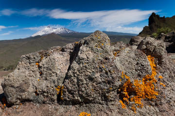 Natural Park of Teide, Tenerife, Canary, Espana