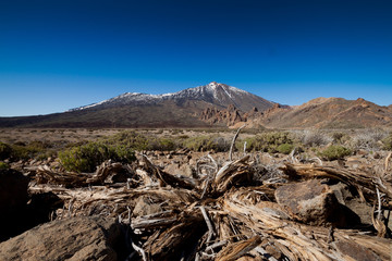 Natural Park of Teide, Tenerife, Canary, Espana